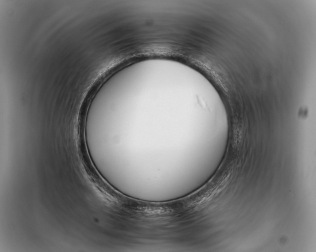 X0000098020439200804181207