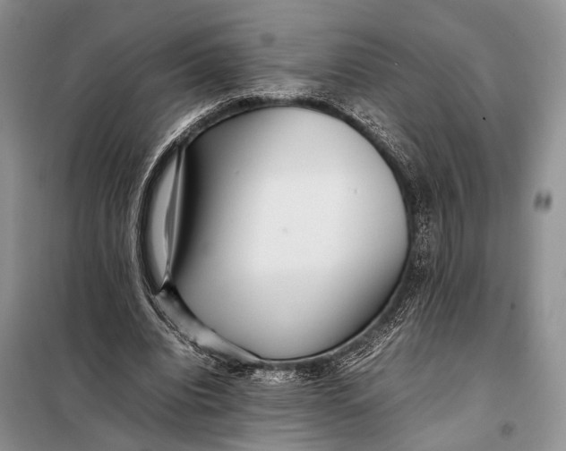 X0000098020440200804181207