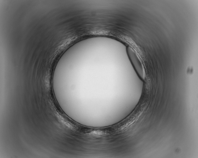 X0000098020441200804181207