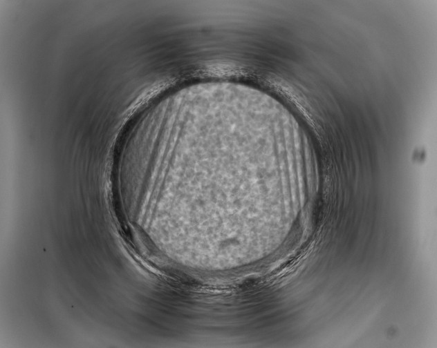 X0000098020443200804181207