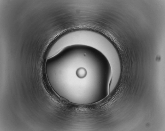 X0000098020444200804181207