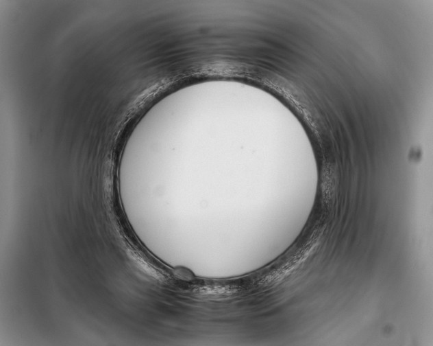 X0000098020445200804181207