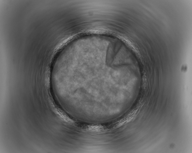 X0000098020446200804181207