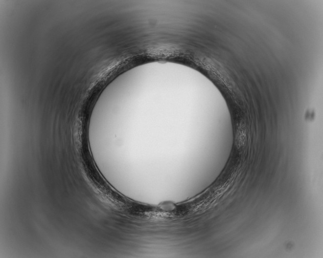 X0000098020448200804181207