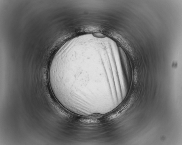 X0000098020449200804181207