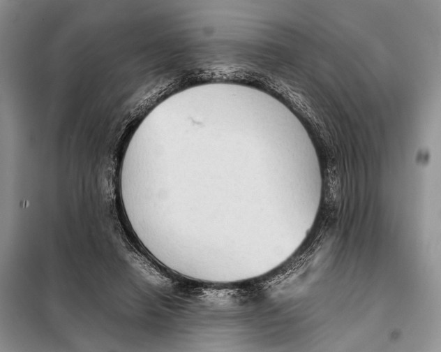 X0000098020450200804181207