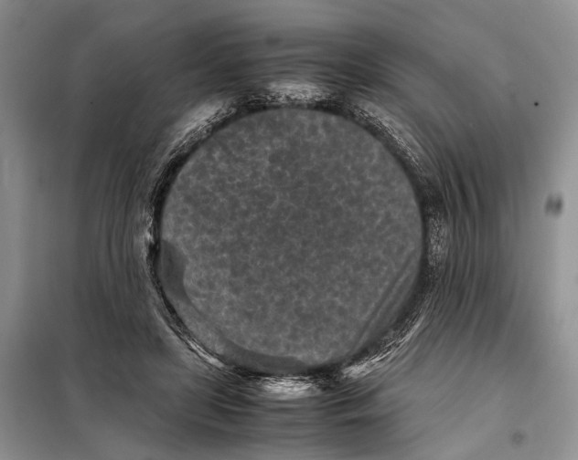 X0000098020451200804181207