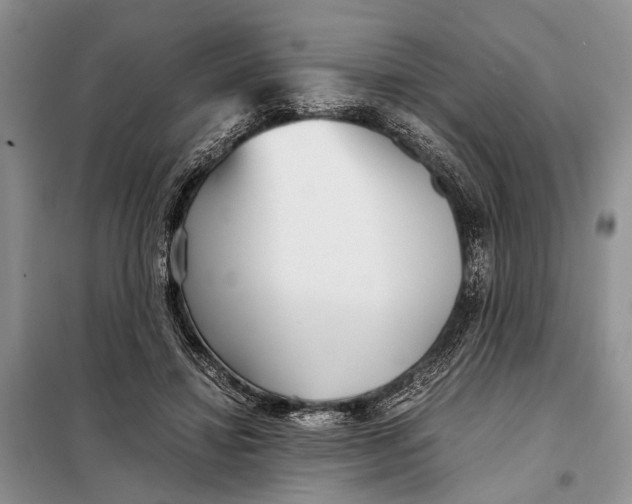 X0000098020452200804181207