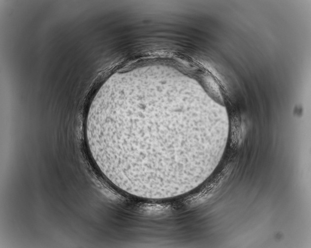 X0000098020453200804181207