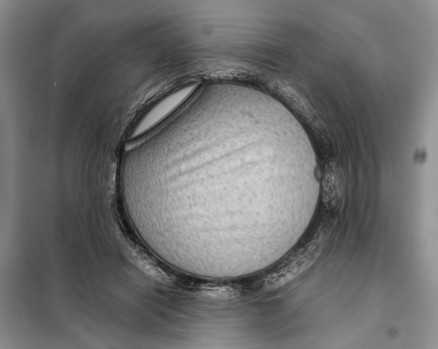X0000098020454200804181207
