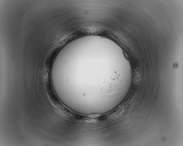 X0000098020456200804181207