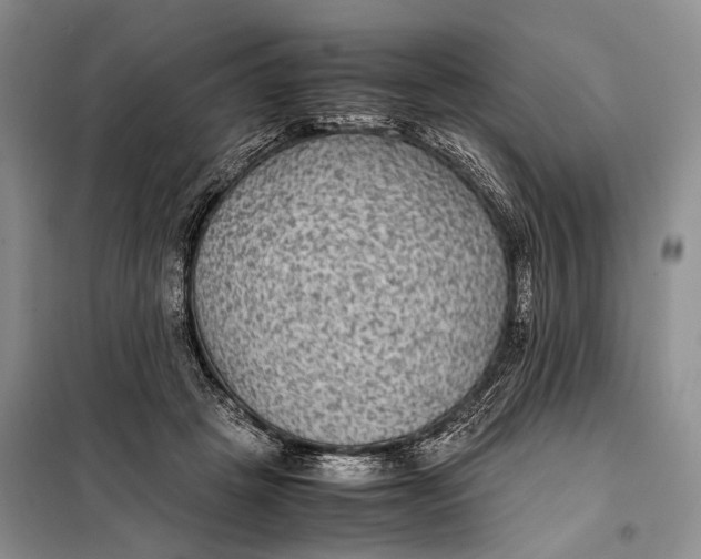 X0000098020457200804181207