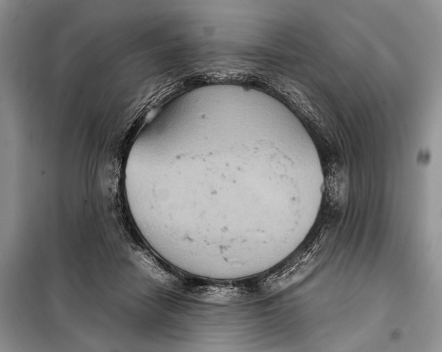 X0000098020458200804181207
