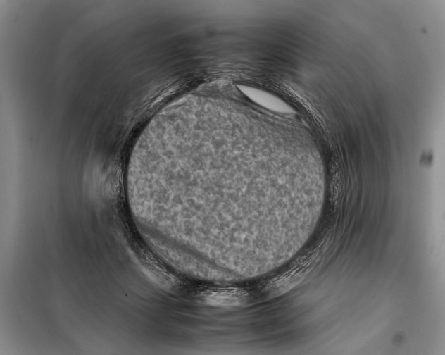 X0000098020459200804181207