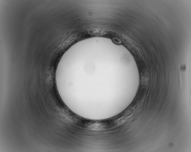 X0000098020460200804181207