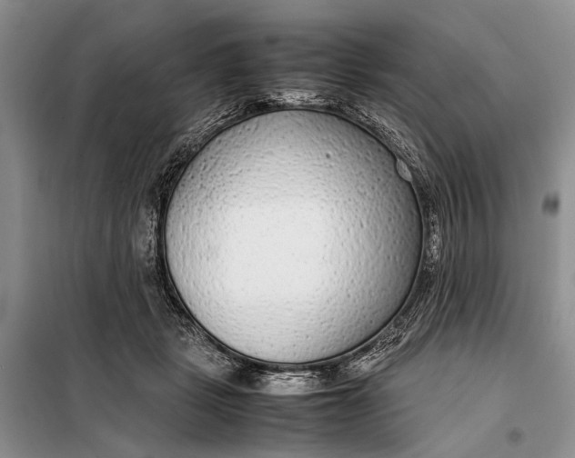 X0000098020461200804181207