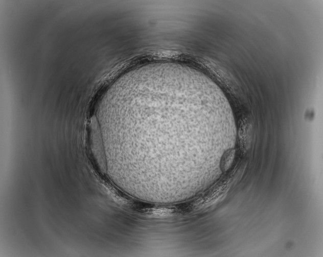 X0000098020462200804181207