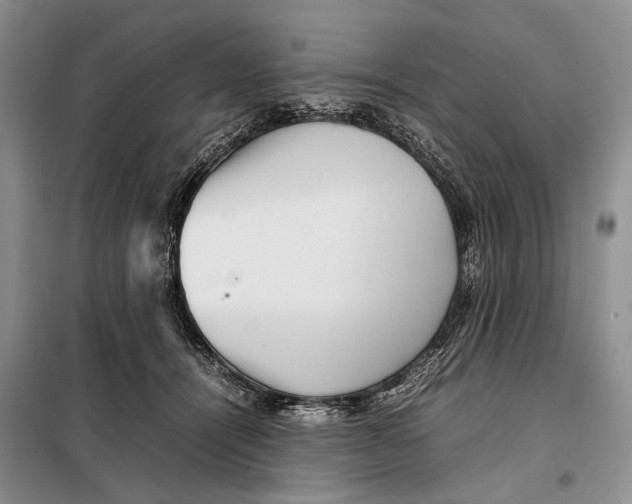 X0000098020464200804181207
