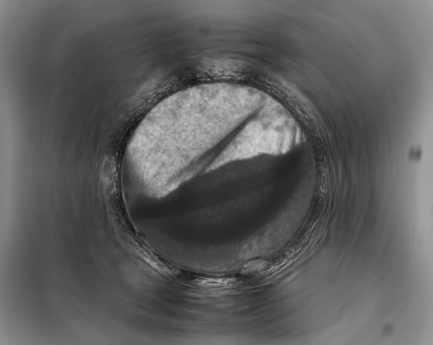 X0000098020465200804181207