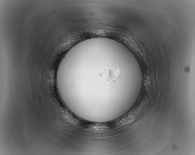 X0000098020466200804181207