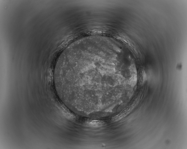 X0000098020467200804181207
