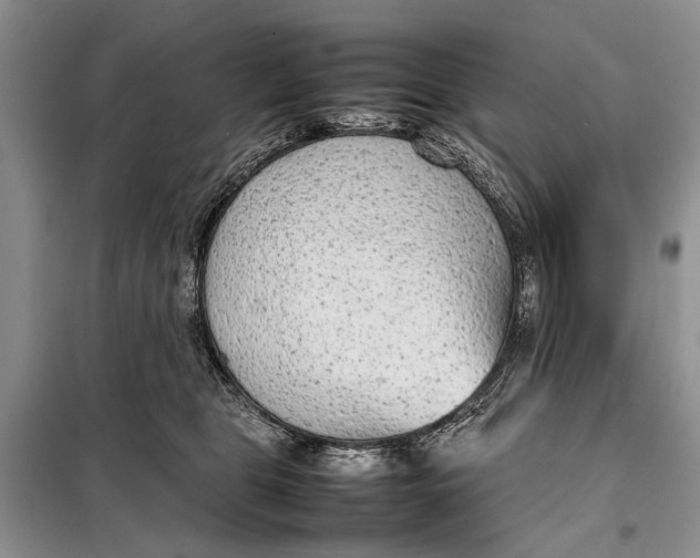 X0000098020469200804181207