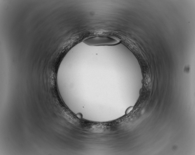 X0000098020470200804181207