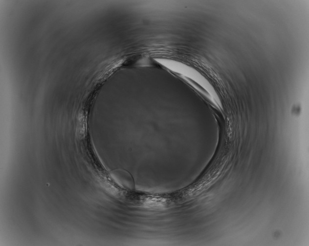 X0000098020471200804181207