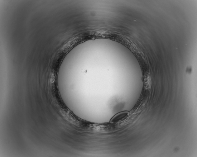 X0000098020472200804181207