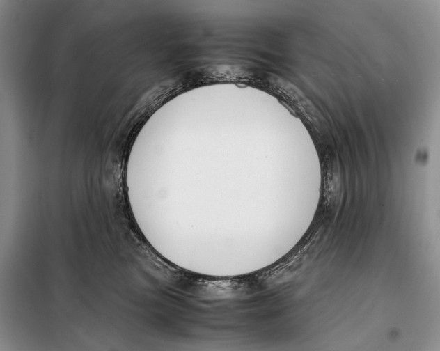 X0000098020473200804181207