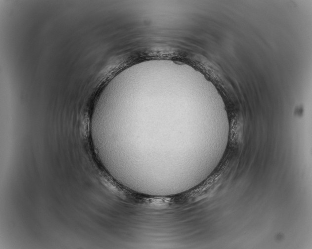 X0000098020474200804181207