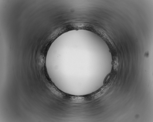 X0000098020476200804181207