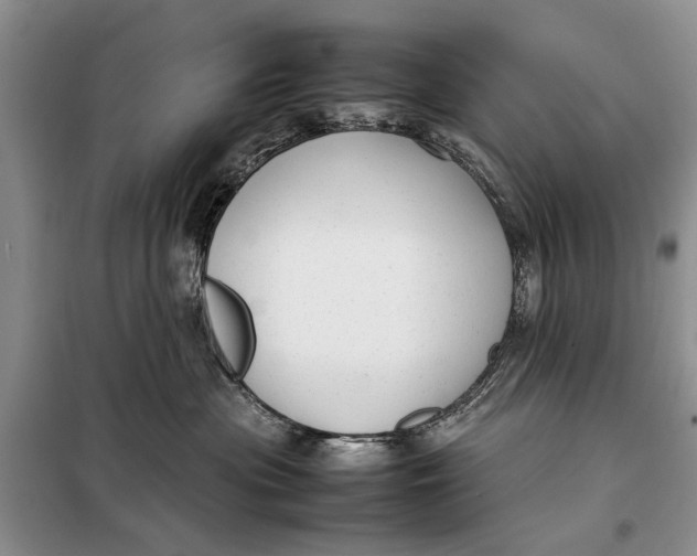 X0000098020477200804181207