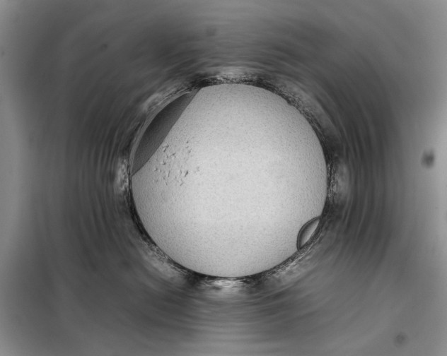 X0000098020478200804181207