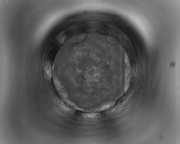 X0000098020479200804181207