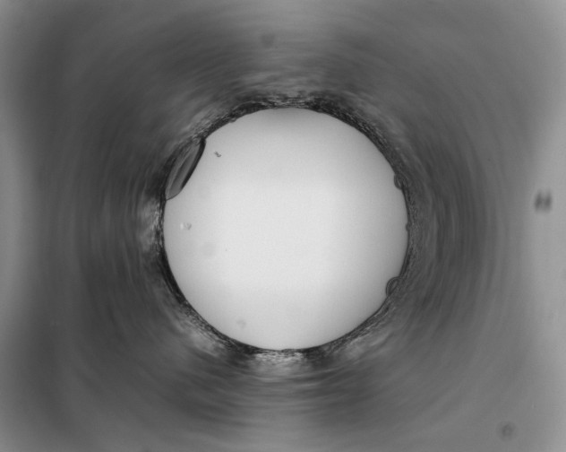 X0000098020480200804181207