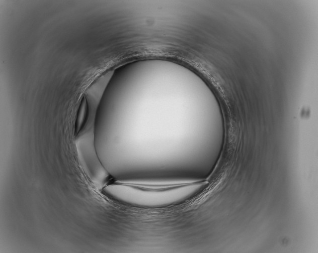 X0000098020481200804181206
