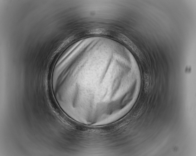 X0000098020482200804181206