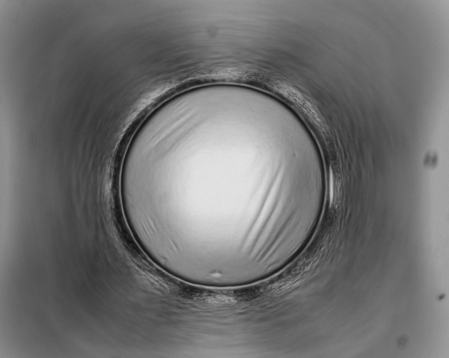 X0000098020483200804181206