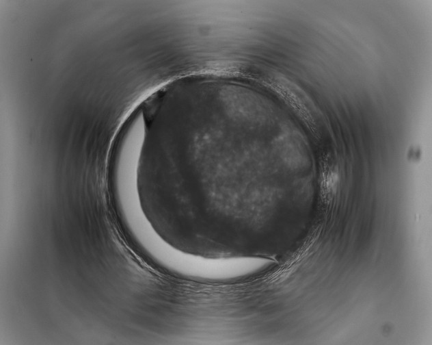 X0000098020484200804181206