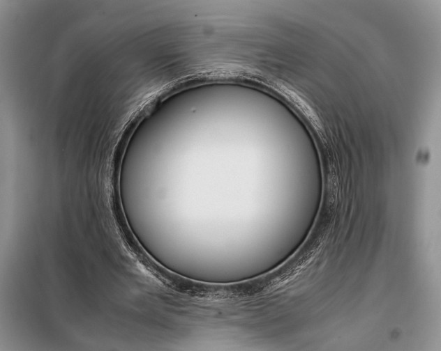 X0000098020485200804181206