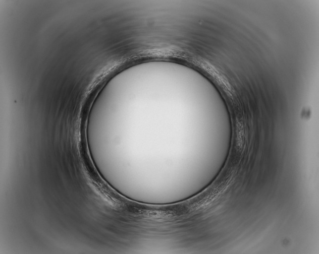 X0000098020486200804181206