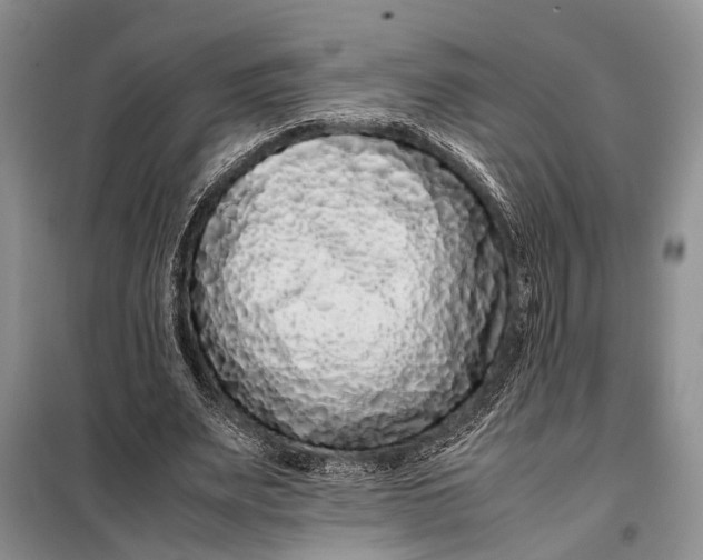 X0000098020487200804181206