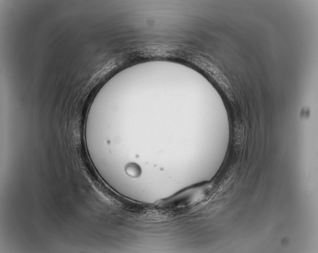X0000098020489200804181206