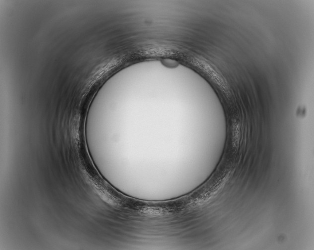 X0000098020490200804181206