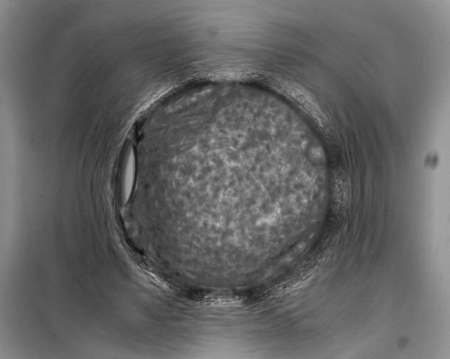 X0000098020491200804181206