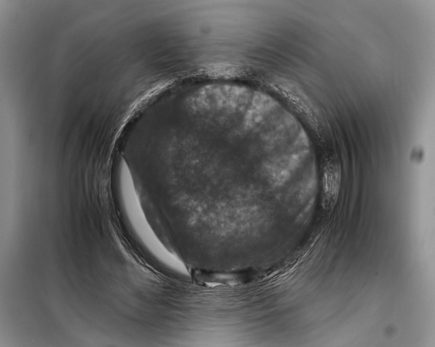 X0000098020492200804181206