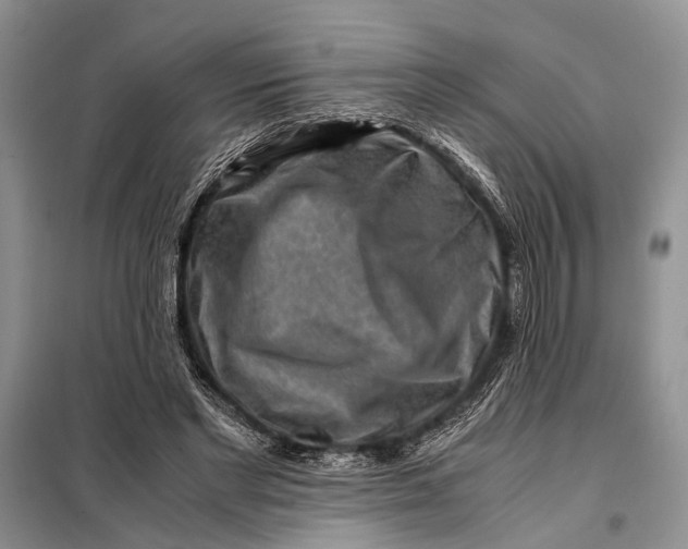 X0000098020493200804181206