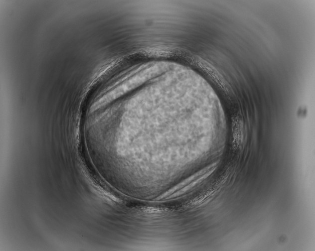 X0000098020494200804181206