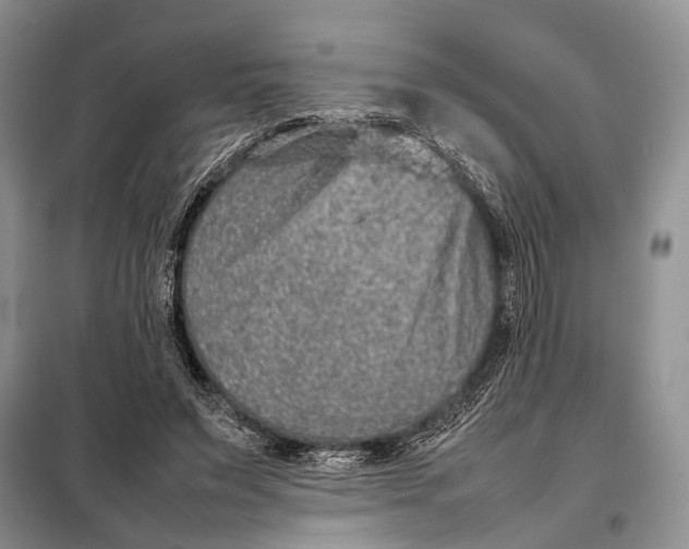 X0000098020495200804181206